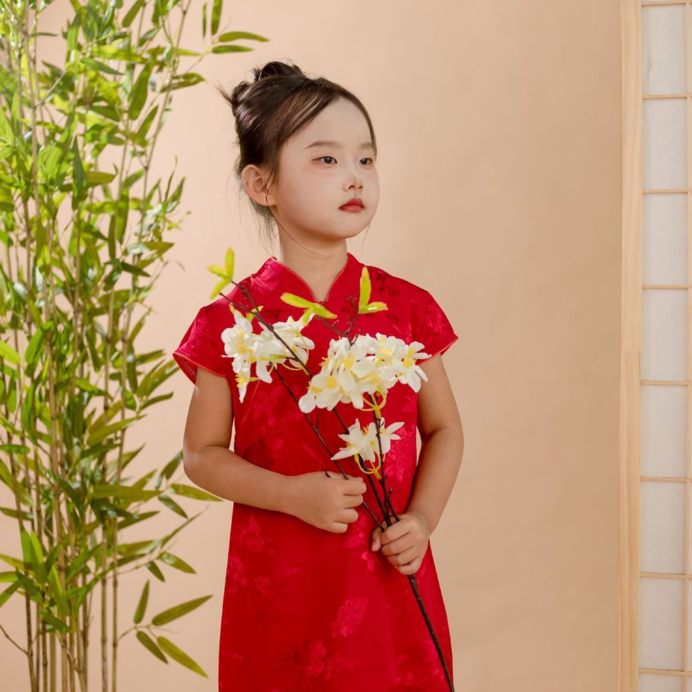 女童六一旗袍连衣裙中国唐装生日表演新款夏季礼服中式儿童