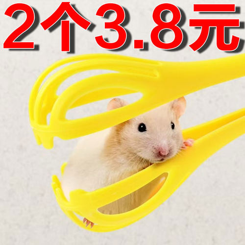 仓鼠夹捕抓老子金丝熊生