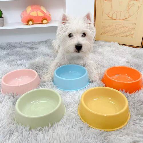 狗食盆猫碗咪水防打翻宠