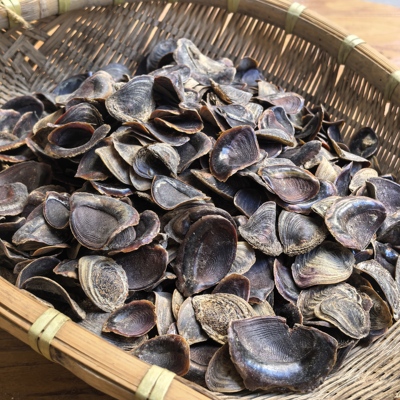 高品质天然甲香片有大有小