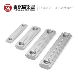 铝型材欧标30/40/M6/M8双孔船型3060/4080滑块螺母T型螺母