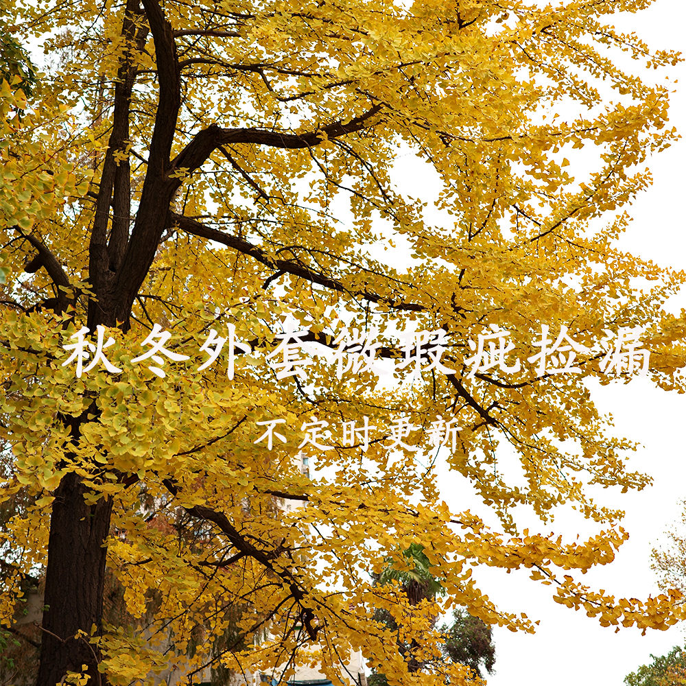 HAOLIAO羊毛简约外套高品质