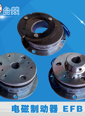 台燚EFB干式电磁制动器抱闸刹车打包机离合制动片绕线拉链机DC24V