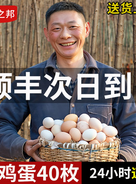 农家散养土鸡蛋营养美味每日现捡