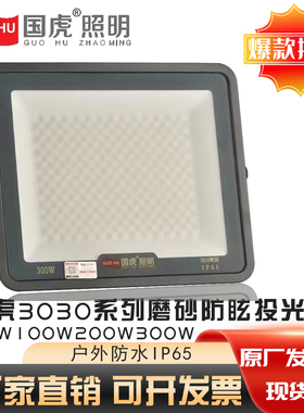国虎led投光灯3030系列磨砂防眩目户外防水OIP66绿色节能100W200W