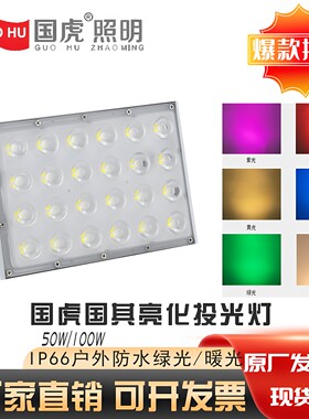 国虎照明亮化投光灯绿光黄光