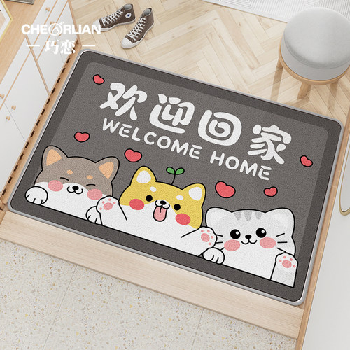 2025新款入户门地垫家用防滑