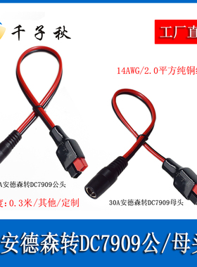 DC7909公母转30A安德森线2平方户外太阳能储能充电池板延长电源线