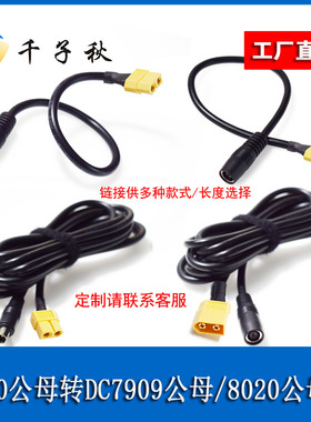 航模XT60公母转DC7909/8020公母头电源线户外储能电源连接转接线