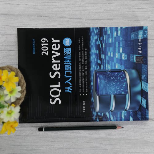SQL Server 2019从入门到精通 视频教学超值版王英英9787302571438清华大学出版社计算机/网络/数据库