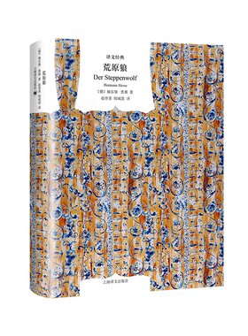 荒原狼(译文经典·精装)