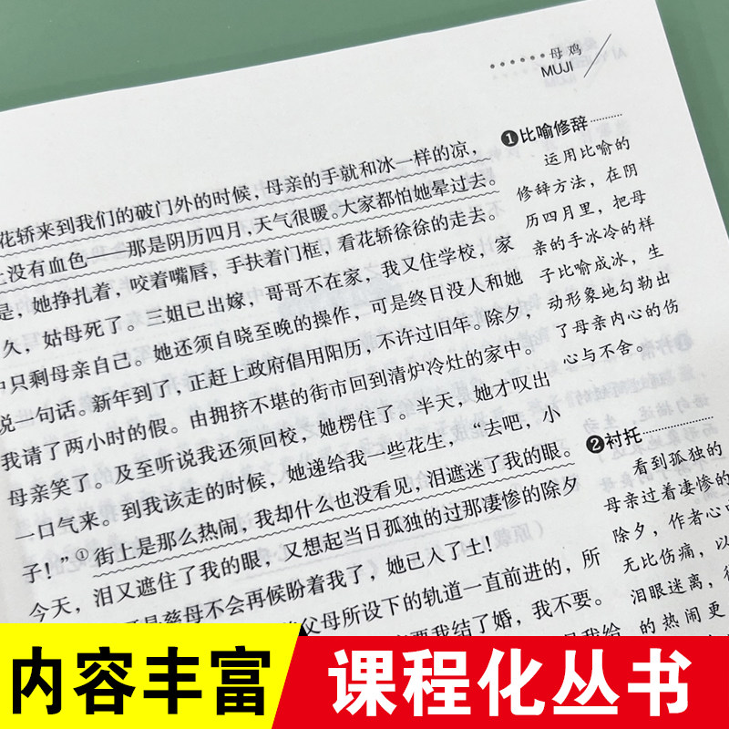 无障碍精读版-母鸡