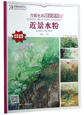 近景水粉(青藤色彩基础教程)