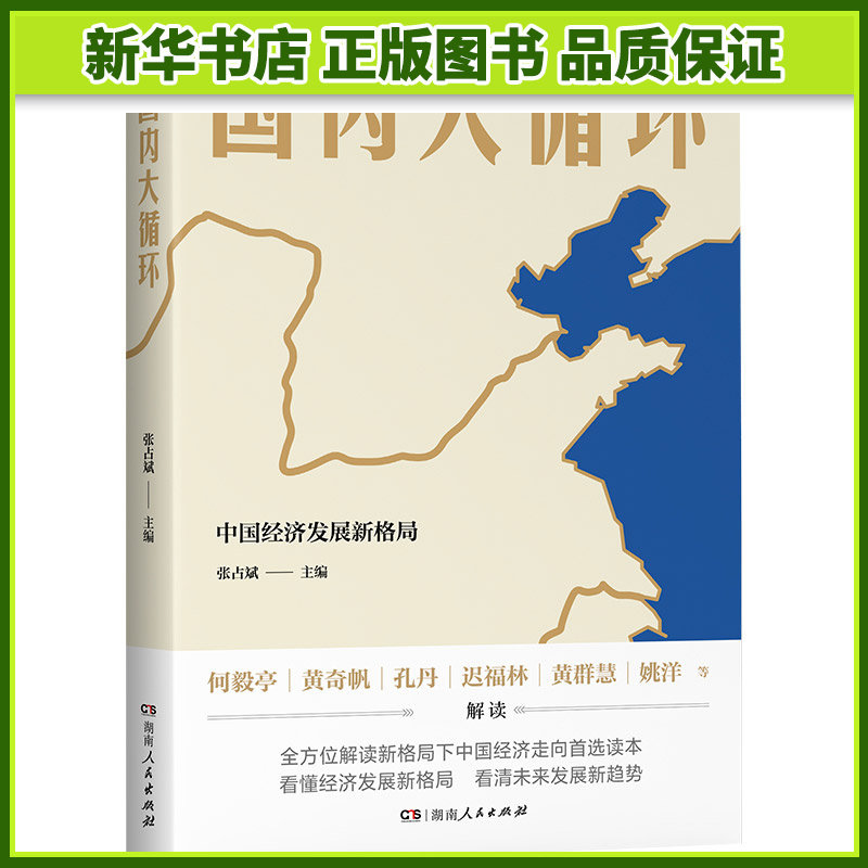 国内大循环(中国经济发展新格局)