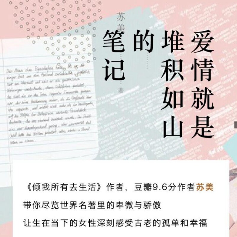 爱情就是堆积如山的笔记(精)