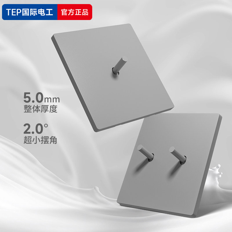 TEP国际电工哑光灰色拨杆开关