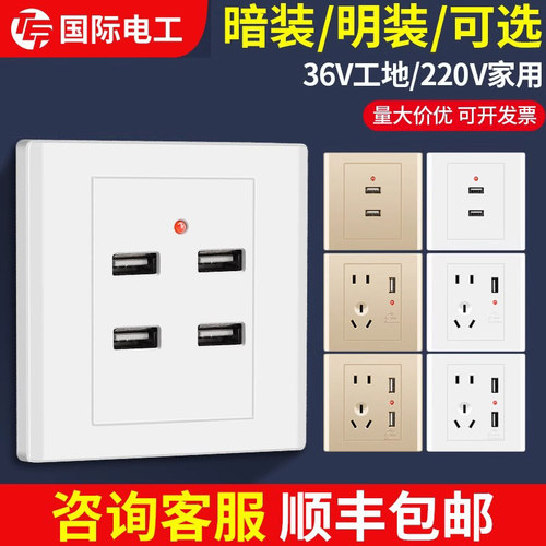 国际电工10A雅白二二插