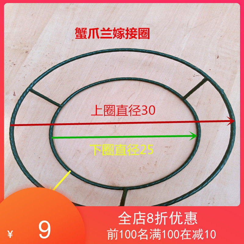 包邮蟹爪兰支架花架花叶仙嫁接