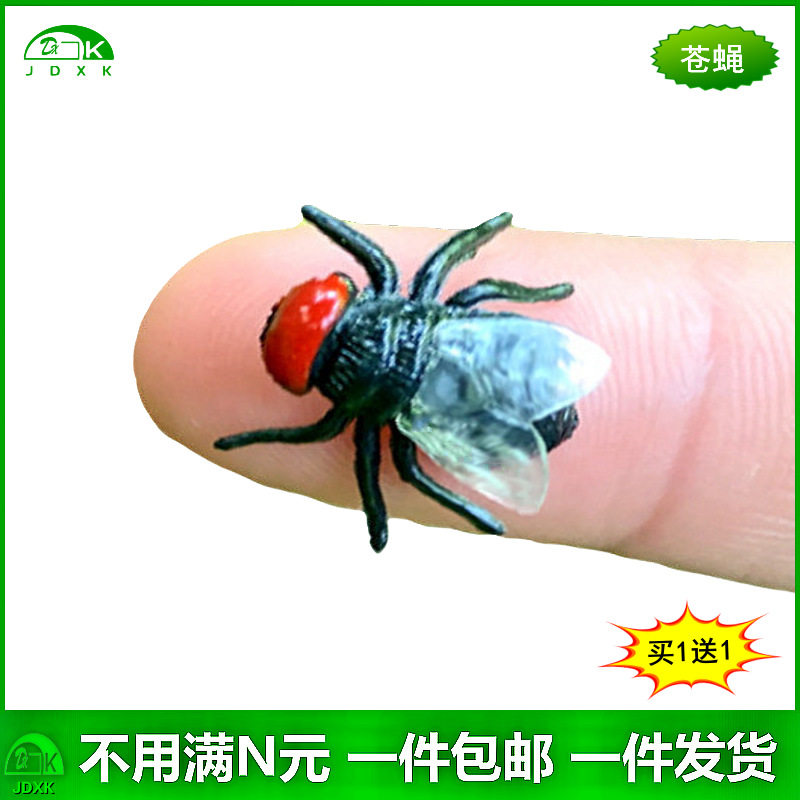 仿真苍蝇整人恐怖恐怖幼儿园儿童公开课认知玩具塑胶假小昆虫模型