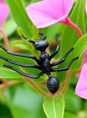 仿真蚂蚁大号黑色幼儿园儿童早教认知玩具礼品塑胶大昆虫动物模型