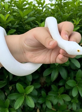 白色黑色仿真蛇小青小白软胶蛇白娘子白蛇传说演出道具玩具蛇假蛇