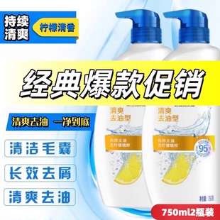 洗发水清爽控油丝质柔滑洗头水大容量750ml 瓶 2瓶装