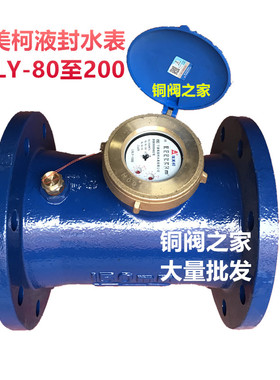 埃美柯LXLY-E铁壳水平螺翼全液封冷水表014 DN80 100 150 200