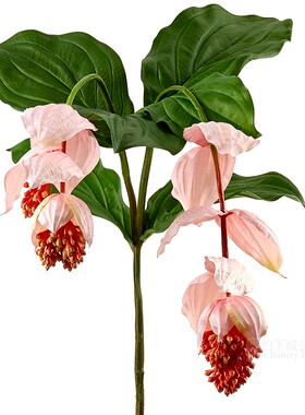 纽约下城公园进口高枝野牡丹藤仿真绢花花枝落地摆放高98cm