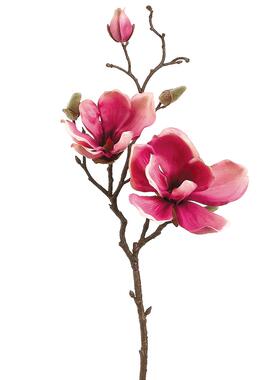 现 纽约下城公园进口斯嘉丽娇艳粉红高端仿真玉兰花枝高48cm