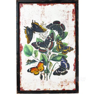 饰画59.9 蝴蝶木板印刷装 40cm 纽约下城公园进口古典手绘风格 现