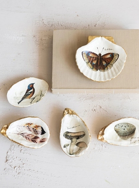 现 纽约下城公园进口达尔文是谁生物印记插画风格鎏金贝壳小摆件