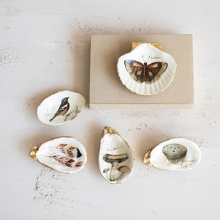 现 纽约下城公园进口达尔文是谁生物印记插画风格鎏金贝壳小摆件