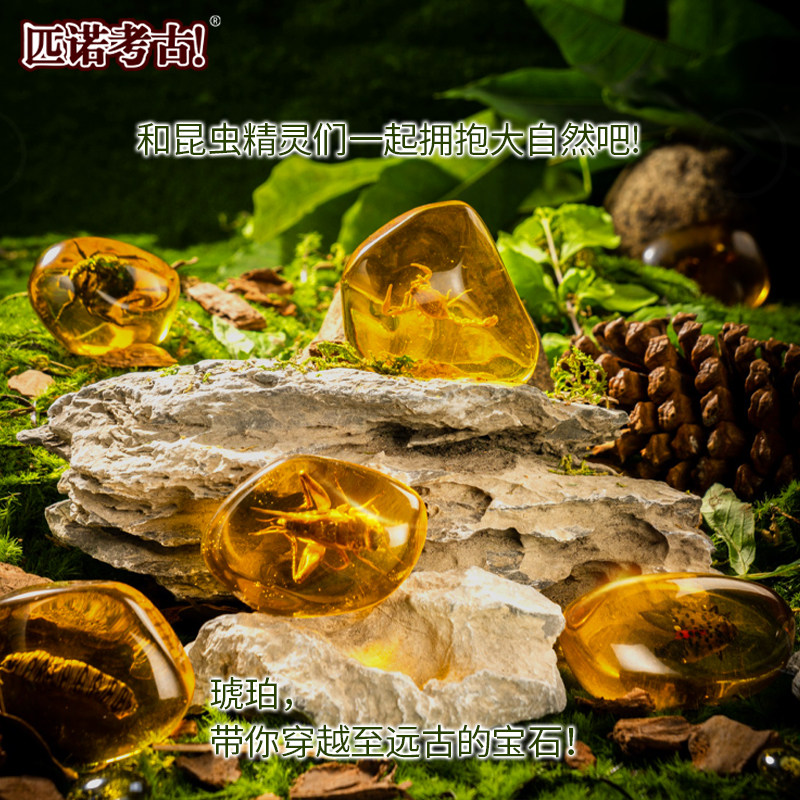PINAULT ARCHAEOLOGICAL EXCAVATION FOSSILS CHILDRENS EDUCATIONAL HANDMADE TOYS BLIND BOXES AMBER INSECTS ELVES TO SEND DISPLAY SHELVES
