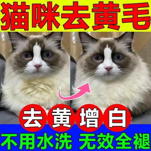 猫咪去黄美白干洗泡沫免洗慕斯泪痕眼屎油尾巴黑下巴专用清洁用品