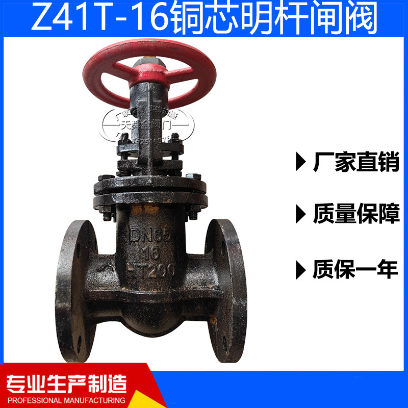 Z41T-16铜芯明杆闸阀铸铁法兰闸板阀污水阀铜杆DN100