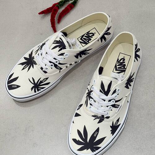 VANS范斯米白枫叶低帮帆布板鞋