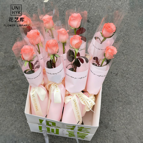女神节新款女神单支袋