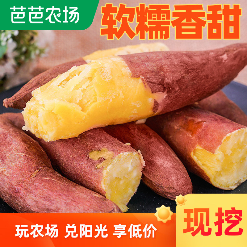 新鲜红薯5斤农家自种板栗蜜薯沙地现挖糖心烤番薯小红薯山芋地瓜