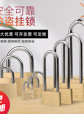 地球牌铜挂锁防水通开挂锁钥匙小锁箱包通用挂锁电力挂锁长梁锁子