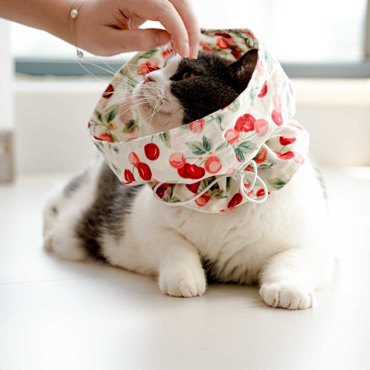 手工纯棉轻薄猫咪伊丽莎白圈加深绝育防舔可调节猫圈脖套可定制