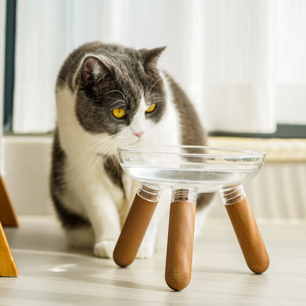 三角支撑碗架实木加高玻璃猫碗增高支架大碗口透明颜值狗碗宠物碗