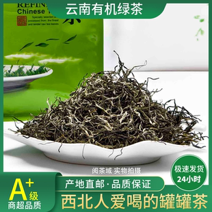 2026年有机绿茶银丝春尖云南生态绿茶明前高山茶思茅烘青茶叶