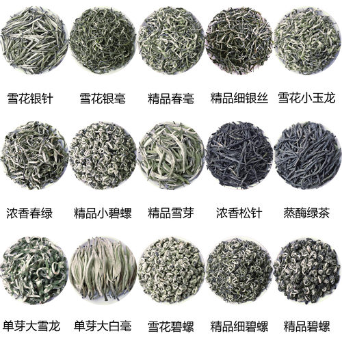 试喝绿茶精品碧螺春银毫雪芽云南