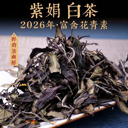 2026年景迈山高山紫娟白茶野放型云南白茶花青素含量高高端散茶叶