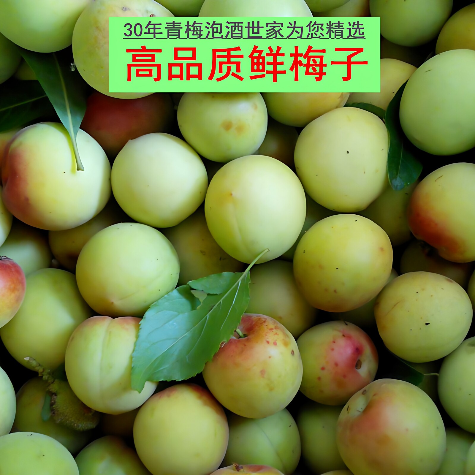 云南高山青梅果新鲜青梅5斤 福建梅子水果酸梅鲜果泡青梅露青梅酒