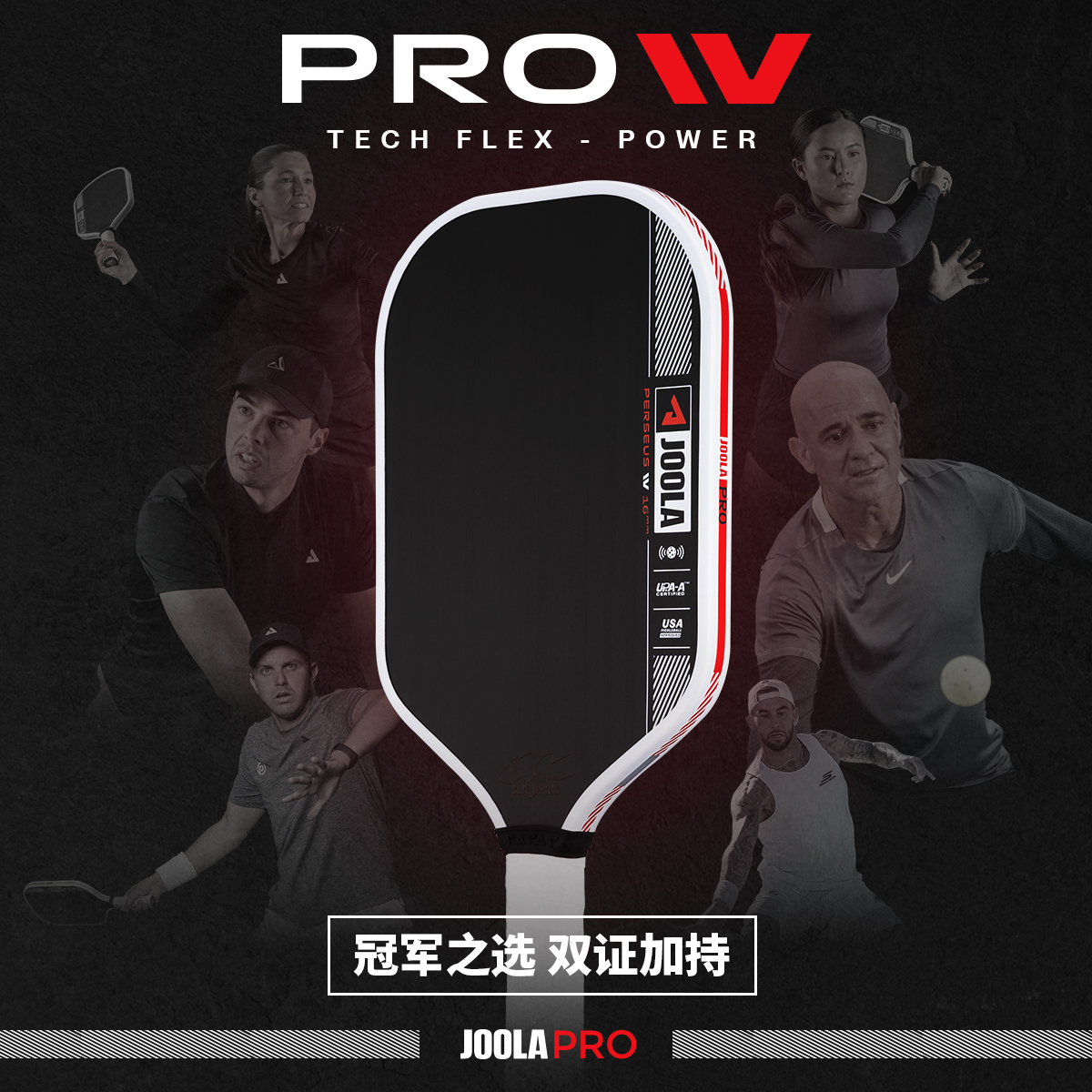 JOOLA匹克球拍板PRO IV碳纤维官方USAPA/UPA双认证专业Pickleball