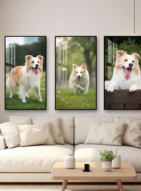 定制宠物挂画来图定做治愈系小狗猫咪客厅玄关卧室个性纪念装饰画