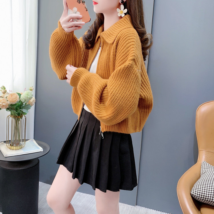 小个子显高双拉链短款毛衣女春季2024年新款韩版开衫