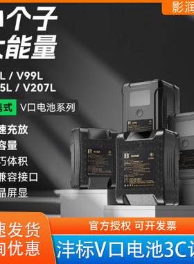 【3C认证】沣标V口电池小个子适用索尼摄像机补光灯FB-V99L/V155L