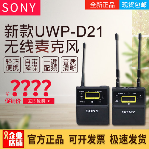 索尼小蜜蜂采访D21无线话筒